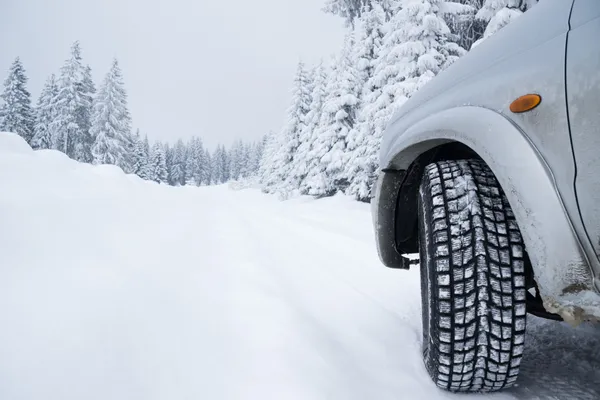 Are tires categorized by type of vehicle or by driving conditions?